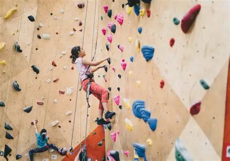  Wall Climbing (Above 14 Years)