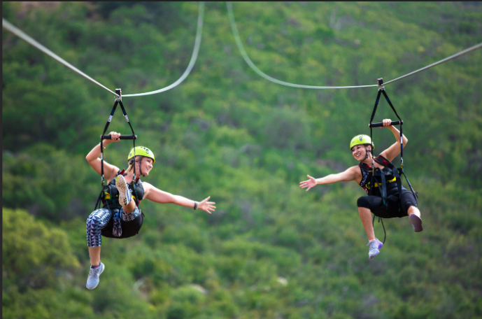 ZIPLINE