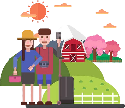 Domestic Tours