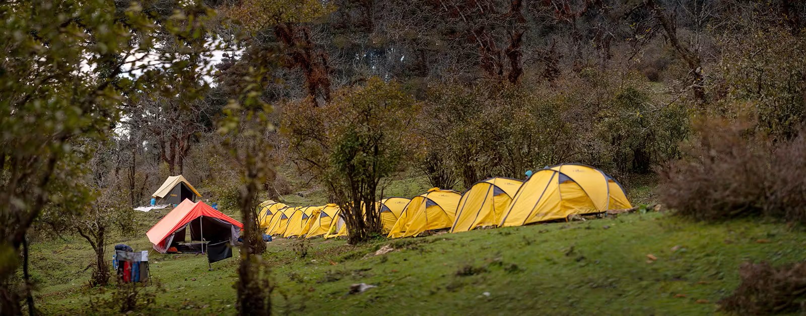Dayara Bugyal Trek Package | 4 Days / 3 Nights Uttarakhand — Uttarakhand