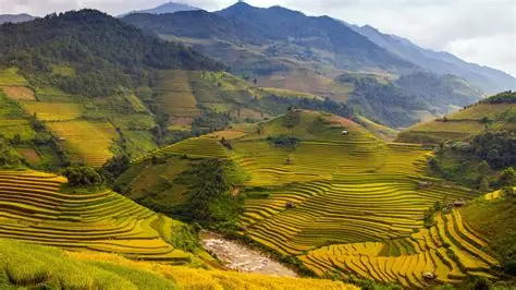Escape to Vietnam with Boat Ride to Tam Coc Caves | Hanoi & Halong Bay Tour — Vietnam — photo 3