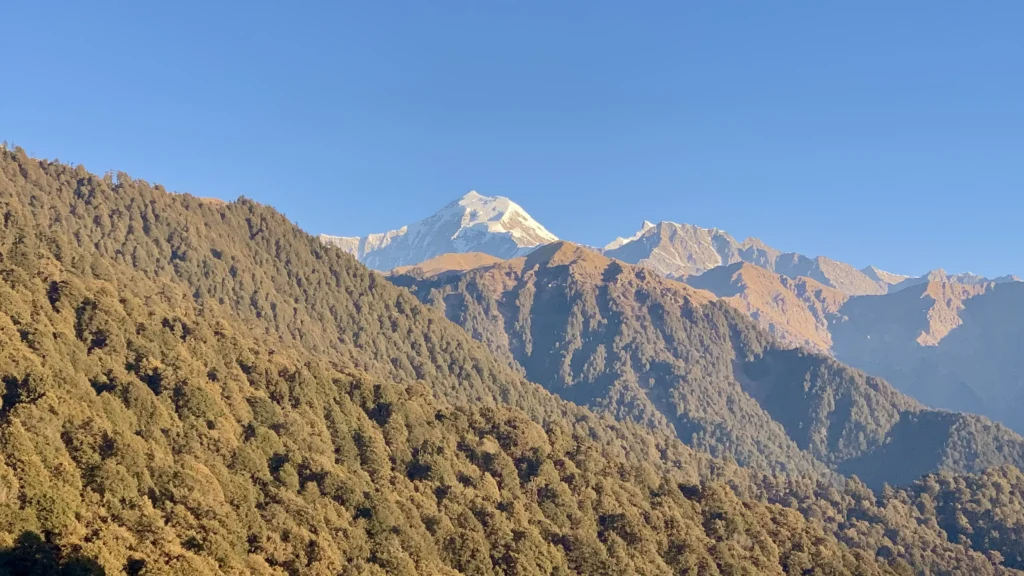 Dayara Bugyal Trek Package | 4 Days / 3 Nights Uttarakhand — Uttarakhand — photo 4