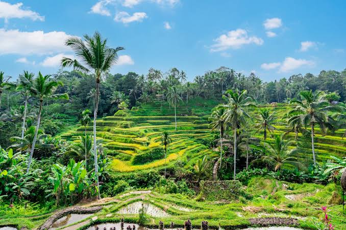 Bali Essential Escape – 4 Nights / 5 Days — Bali — photo 2
