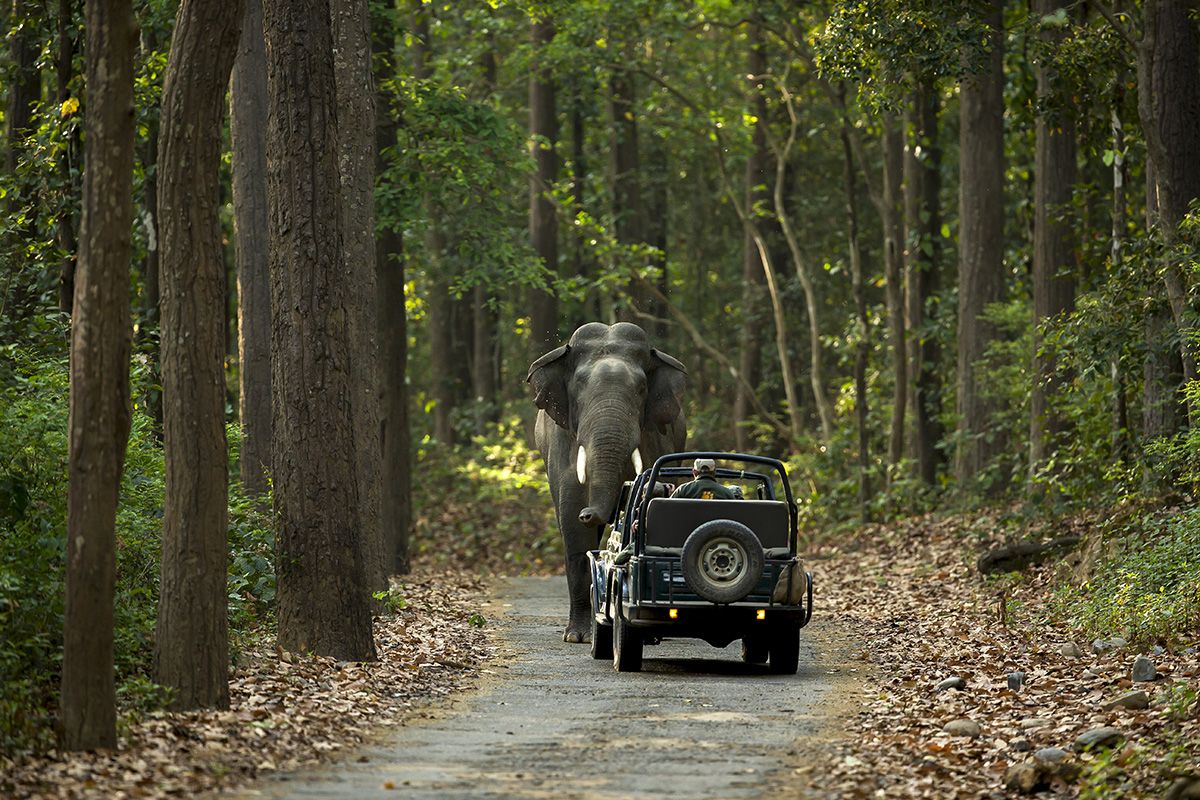 Jim Corbett Packages with Nainital Tour — Uttarakhand